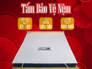 TẤM BẢO VỆ NỆM Á CHÂU