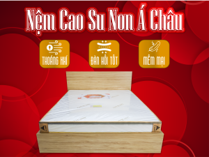 NỆM CAO SU NON Á CHÂU