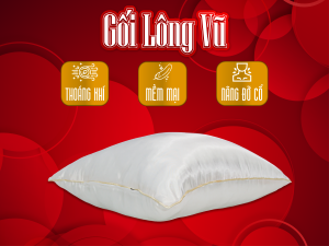 GỐI LÔNG VŨ Á CHÂU