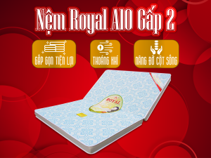 NỆM BÔNG ÉP ROYAL A10 GẤP 2 Á CHÂU