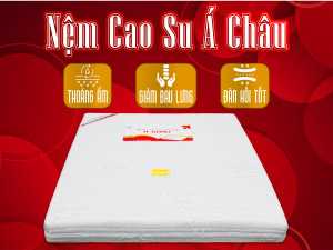 NỆM CAO SU Á CHÂU