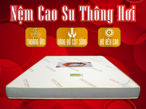 NỆM CAO SU ROYAL THÔNG HƠI Á CHÂU