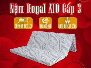 NỆM BÔNG ÉP ROYAL A10 GẤP 3