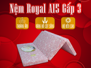 NỆM CAO SU KHOA HỌC ROYAL A15 Á CHÂU GẤP 3