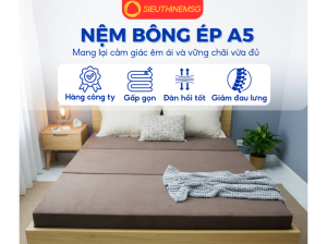 NỆM BÔNG ÉP A5